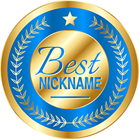 Bestnickname logo
